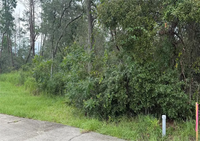 4th image of Tbd Sw 39Th Ct, Ocala, FL 34476 | MLS# OM708203