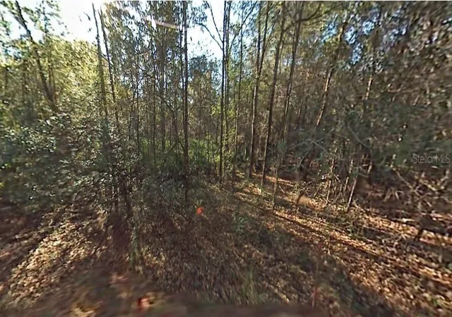 1st image of Sw 29th St, Ocala, FL 34481 | MLS# OM708260