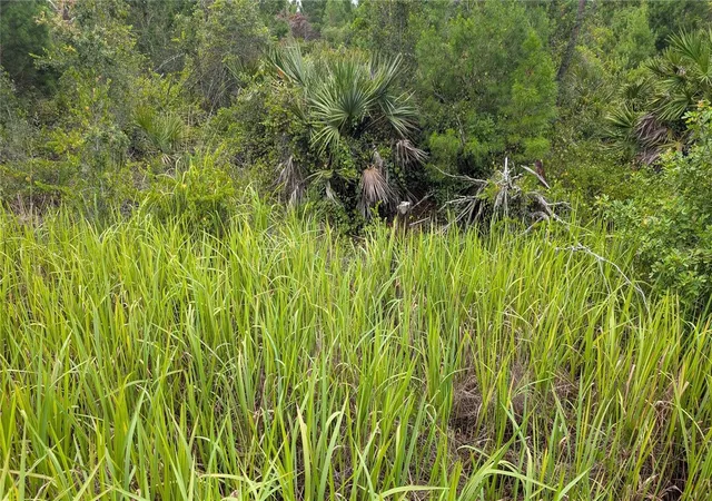 Photo 1 of Land for sale at 2939 W Seville Dr, Avon Park, FL 33825 | MLS# L4955419 | Listing updated on 2026-08-25