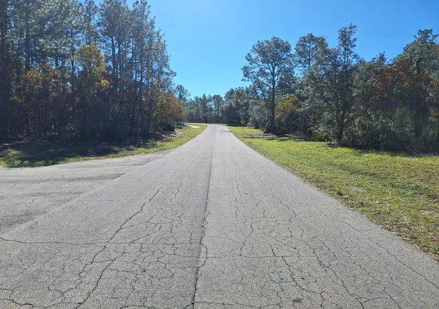 6th image of 76 Sw Court Court Sw, Dunnellon, FL 34432 | MLS# O6338857