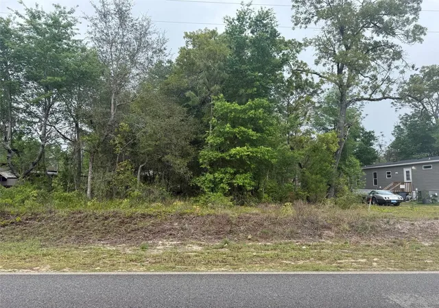 Photo 3 of Land for sale at Dawn Ave, Interlachen, FL 32148 | MLS# OK225528 | Listing updated on 2026-10-02