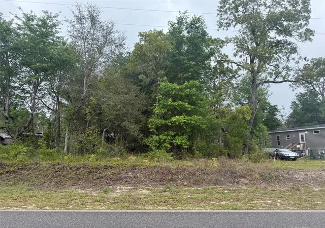 Photo 3 of Land for sale at Dawn Ave, Interlachen, FL 32148 | MLS# OK225528 | Listing updated on 2026-10-02