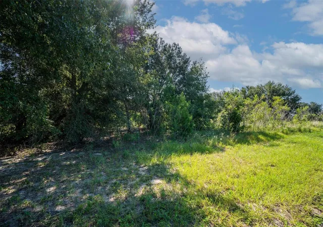 20th image of Yale Hammock Road, Umatilla, FL 32784 | MLS# G5101325