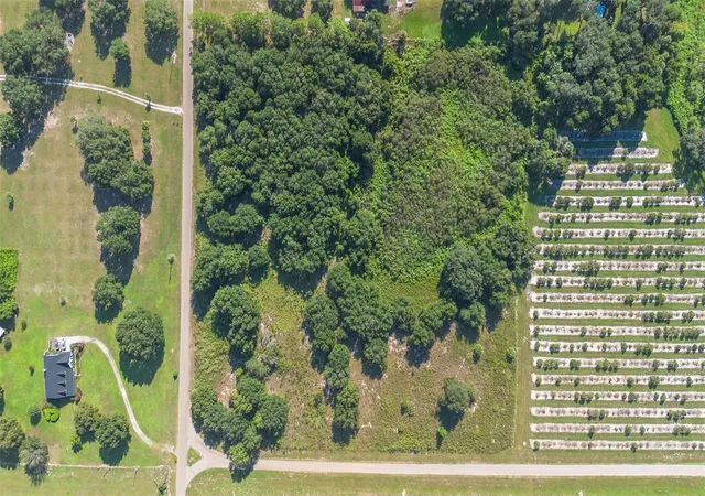 5th image of Yale Hammock Road, Umatilla, FL 32784 | MLS# G5101325