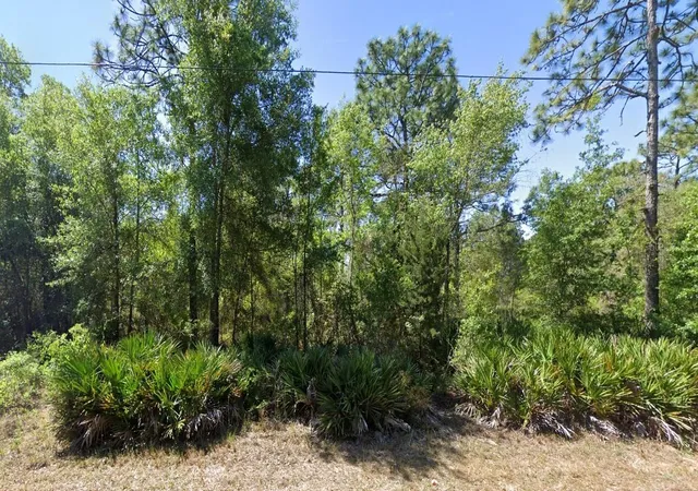 Homes for sale in Homosassa, FL | 7350 W Village Dr, Homosassa, FL 34446 | MLS# TB8421536