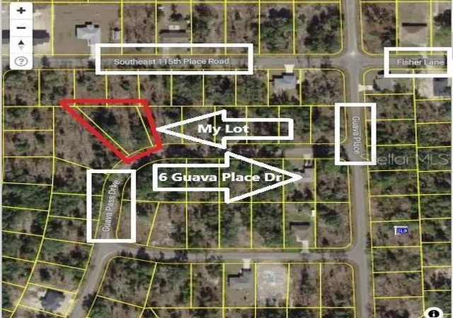 4th image of 0024 Guava Pass Dr, Ocklawaha, FL 32179 | MLS# TB8421632
