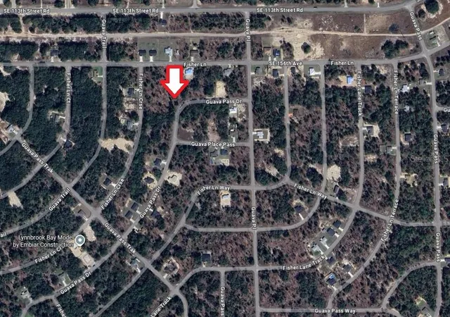 24th image of 0024 Guava Pass Dr, Ocklawaha, FL 32179 | MLS# TB8421632