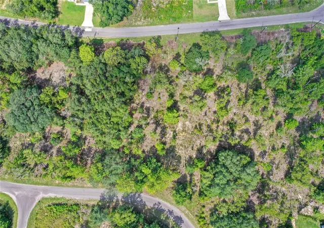 2nd image of 0024 Guava Pass Dr, Ocklawaha, FL 32179 | MLS# TB8421632