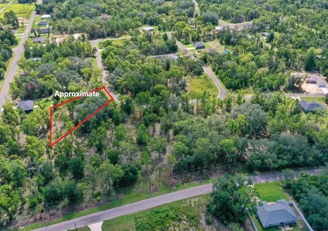 3rd image of 0024 Guava Pass Dr, Ocklawaha, FL 32179 | MLS# TB8421632