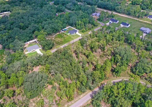 5th image of 0024 Guava Pass Dr, Ocklawaha, FL 32179 | MLS# TB8421632