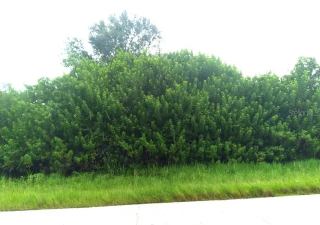 Photo 4 of Land for sale at 7310 David Blvd, Port Charlotte, FL 33981 | MLS# D6143593 | Listing updated on 2026-10-03