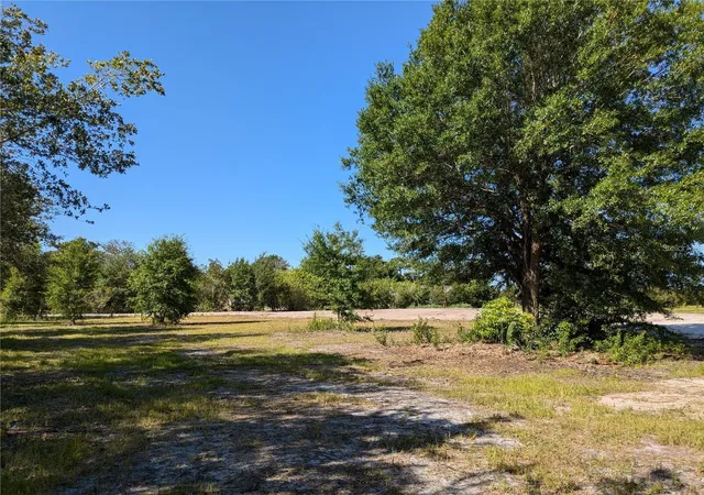 Homes for sale in Saint Cloud, FL | Cord Ave, Saint Cloud, FL 34772 | MLS# S5133535