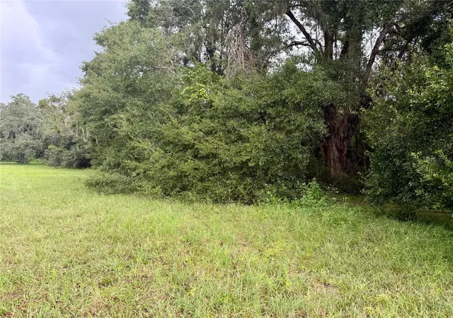 3rd image of 0 State Road 471, Webster, FL 33597 | MLS# TB8422025