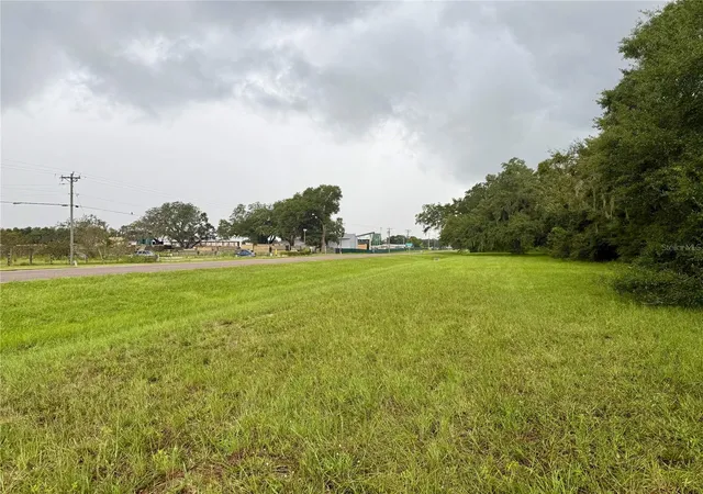 4th image of 0 State Road 471, Webster, FL 33597 | MLS# TB8422025