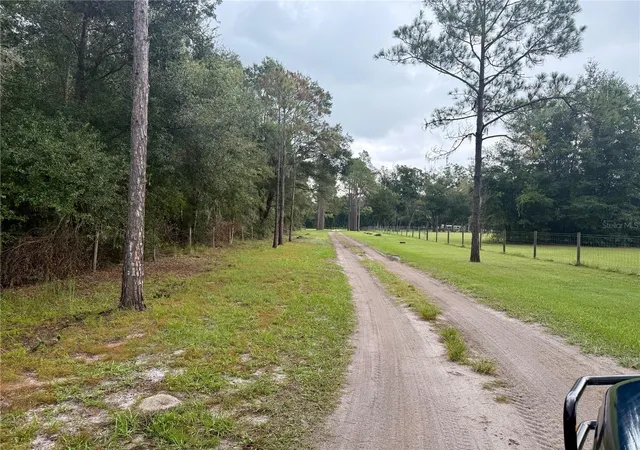 5th image of 0 State Road 471, Webster, FL 33597 | MLS# TB8422025