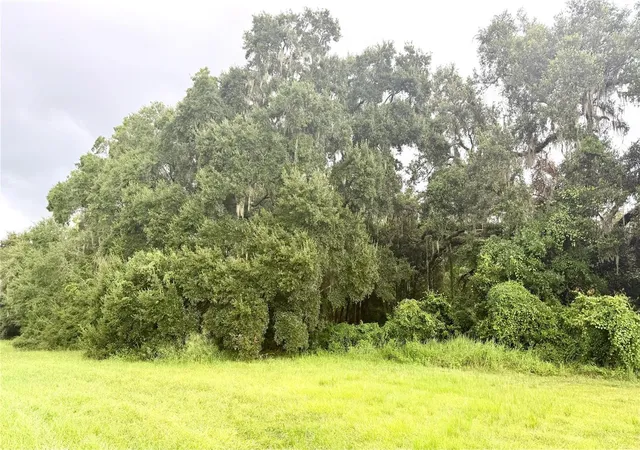 9th image of 0 State Road 471, Webster, FL 33597 | MLS# TB8422025