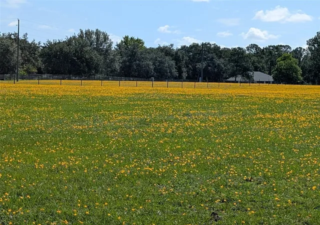 Land for sale at Green Swamp Rd, CLERMONT, FL 34714 | MLS# O6339581