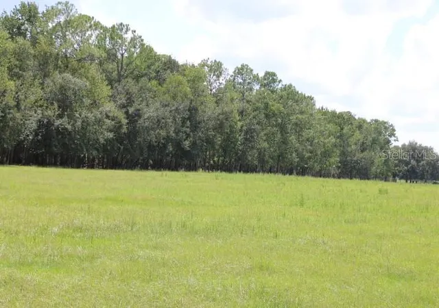 Photo 2 of Land for sale at Green Swamp Rd, Clermont, FL 34714 | MLS# O6339581 | Listing updated on 2026-07-02