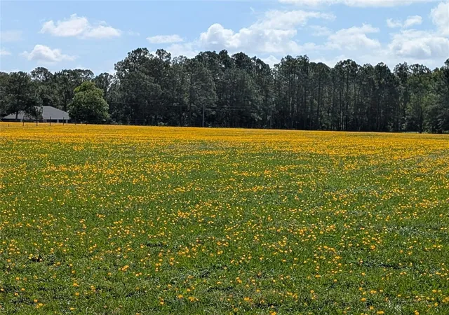 Photo 1 of Land for sale at Green Swamp Rd, Clermont, FL 34714 | MLS# O6339581 | Listing updated on 2026-07-02