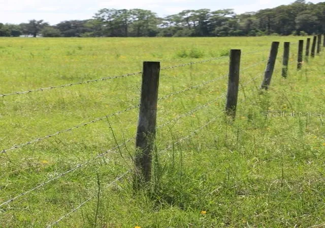 Photo 4 of Land for sale at Green Swamp Rd, Clermont, FL 34714 | MLS# O6339581 | Listing updated on 2026-07-02