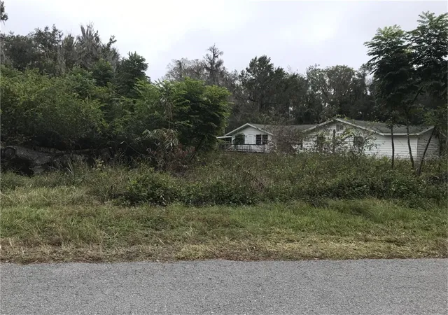 Homes for sale in Lake Panasoffkee, FL | 3057 Cr 431n, Lake Panasoffkee, FL 33538 | MLS# O6339888