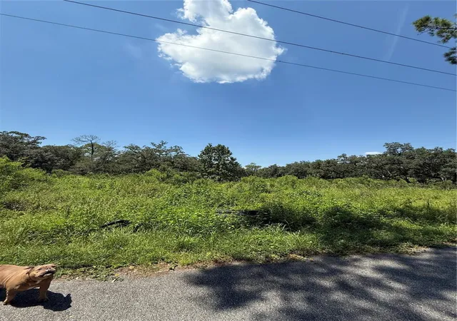 1st image of 1356 Montzen Rd, Davenport, FL 33896 | MLS# O6339938