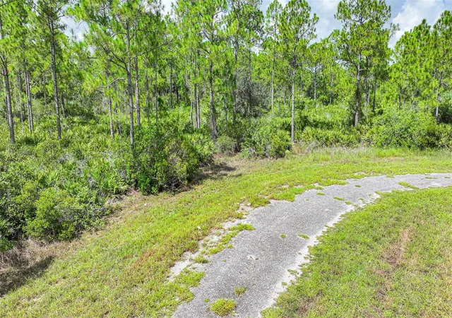 Photo 3 of Land for sale at 309 Nagle Ct, Lehigh Acres, FL 33972 | MLS# W7878565 | Listing updated on 2026-08-10