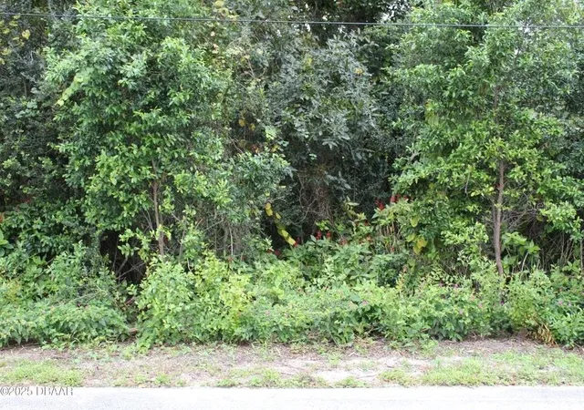 1st image of 510 Fred Gamble Way, Ormond Beach, FL 32174 | MLS# V4944654
