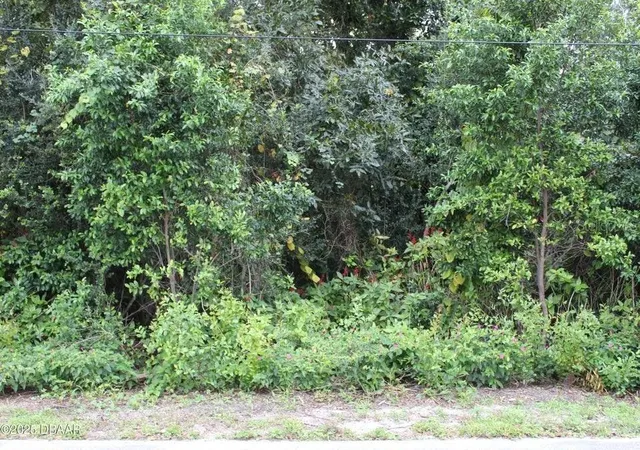 4th image of 510 Fred Gamble Way, Ormond Beach, FL 32174 | MLS# V4944654