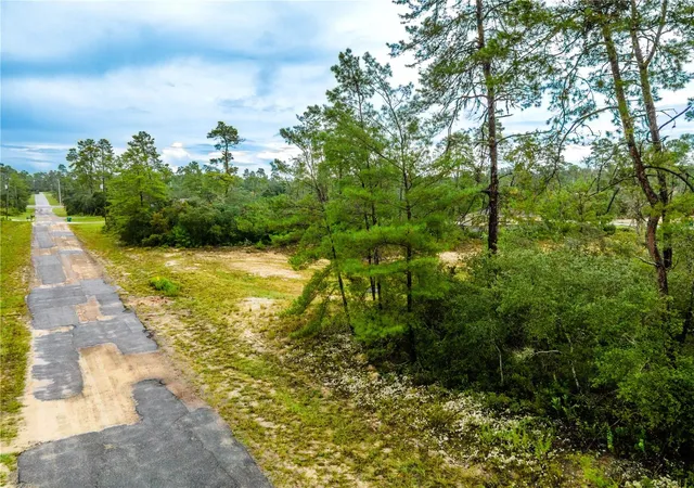 Homes for sale in Dunnellon, FL | 8109 N Wayside Ave, Dunnellon, FL 34433 | MLS# OM708694