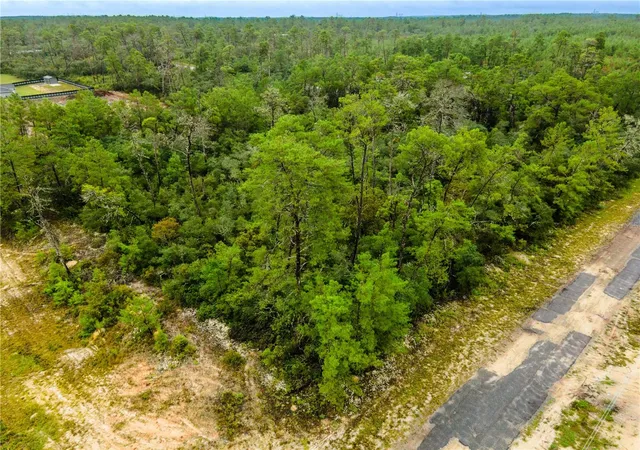 Homes for sale in Dunnellon, FL | 8109 N Wayside Ave, Dunnellon, FL 34433 | MLS# OM708694