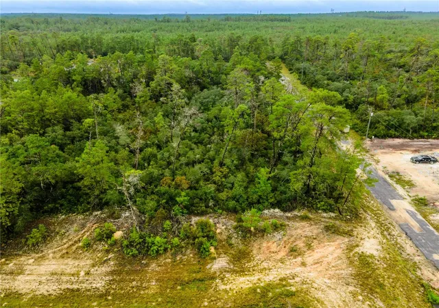 Homes for sale in Dunnellon, FL | 8109 N Wayside Ave, Dunnellon, FL 34433 | MLS# OM708694