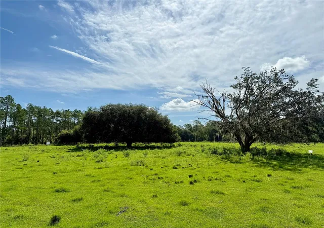 Photo 1 of Land for sale at 10460 Ehren Cutoff, Land O Lakes, FL 34639 | MLS# TB8423493 | Listing updated on 2026-08-24