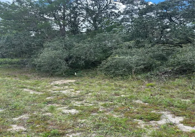 Photo 3 of Land for sale at 00 Sw 27th Circle, Ocala, FL 34473 | MLS# OM708785 | Listing updated on 2026-10-06