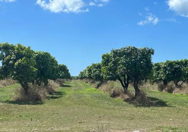 Photo 1 of Land for sale at Pr Rd #1 Km 407 Int Cintrona & Sabana Ward, Juana Diaz, PR 00795 | MLS# PR9115844 | Listing updated on 2025-09-04