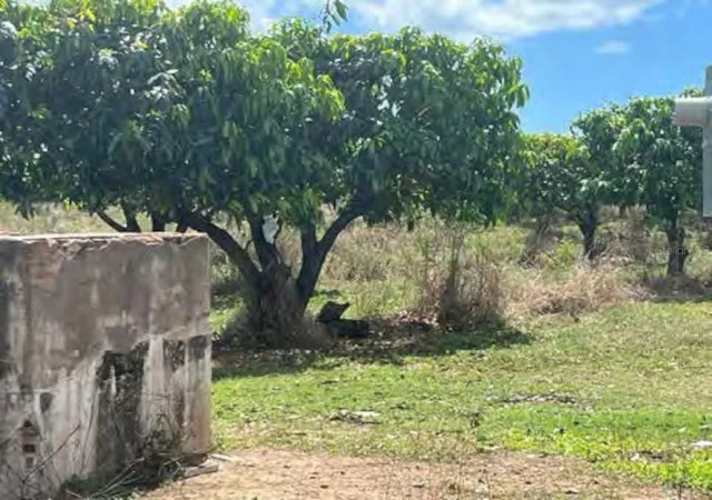 Photo 4 of Land for sale at Pr Rd #1 Km 407 Int Cintrona & Sabana Ward, Juana Diaz, PR 00795 | MLS# PR9115844 | Listing updated on 2025-09-04