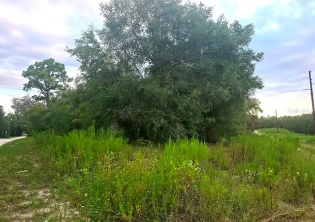 Photo 1 of Land for sale at Tbd S San Angelo Pkwy, Dunnellon, FL 34432 | MLS# OM708786 | Listing updated on 2026-09-14