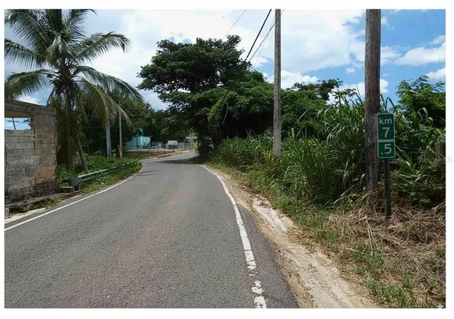 Photo 3 of Land for sale at Sr 108 Km 74 Rio Cañas Wd #C-1, Anasco, PR 00610 | MLS# PR9115850 | Listing updated on 2026-03-18