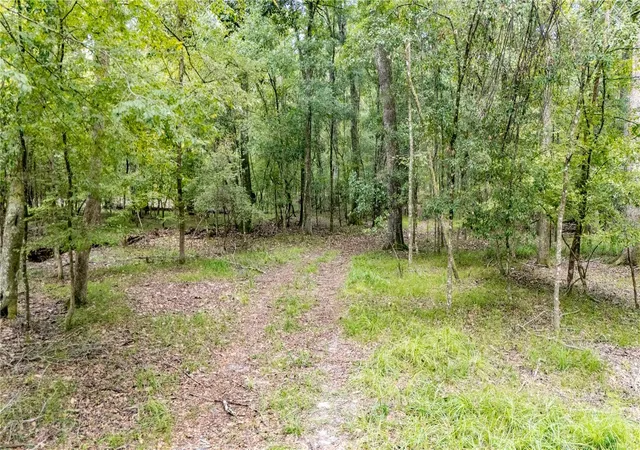 4th image of 26840 Nw 206Th Pl, High Springs, FL 32643 | MLS# GC533748