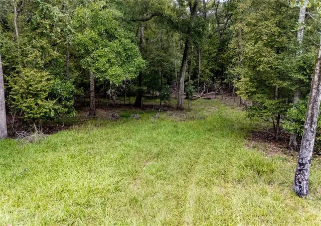 5th image of 26840 Nw 206Th Pl, High Springs, FL 32643 | MLS# GC533748