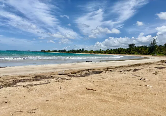 Photo 2 of Land for sale at 968 Camino Las Picuas 1, Rio Grande, PR 00745 | MLS# PR9115866 | Listing updated on 2026-08-18