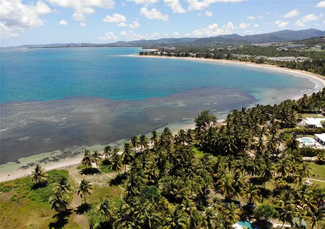 Photo 3 of Land for sale at 968 Camino Las Picuas 1, Rio Grande, PR 00745 | MLS# PR9115866 | Listing updated on 2026-08-18