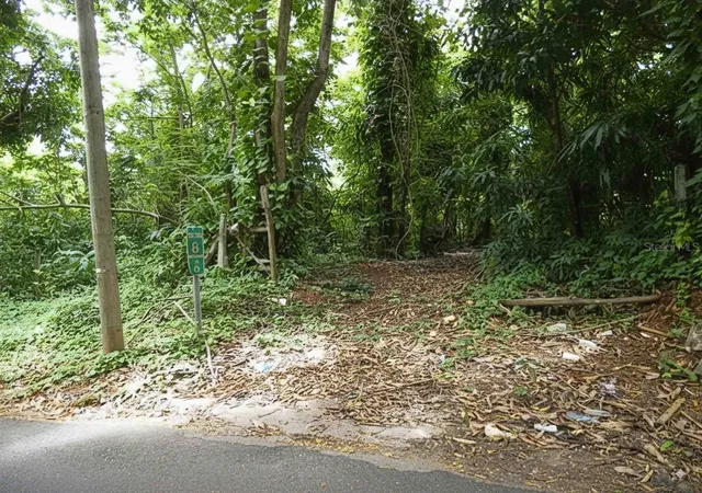 Photo 3 of Land for sale at Sr 108 Km 81 Rio Cañas Wd #C-2, Anasco, PR 00610 | MLS# PR9115872 | Listing updated on 2026-02-25