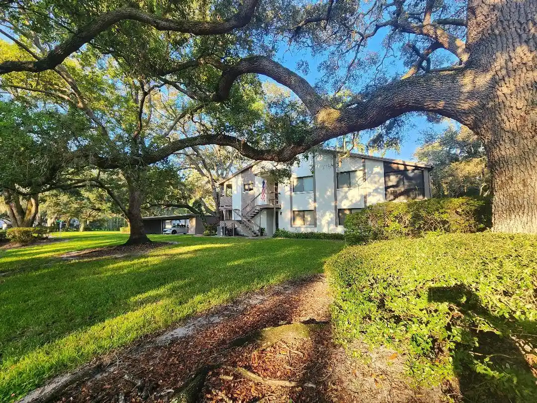 Listing Photo 1 - Condo for sale in 603 Baldwin Ave located at 603 Baldwin Ave, SAFETY HARBOR, FL 34695 - Unit 603 Baldwin Ave