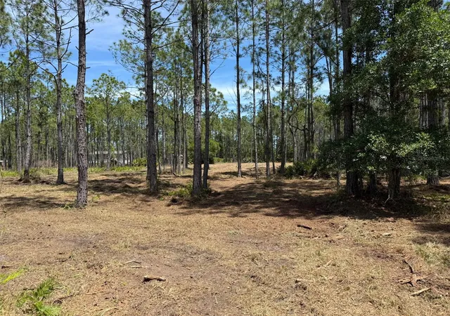 3rd image of 60 Natalies Ln, Ormond Beach, FL 32174 | MLS# O6341942