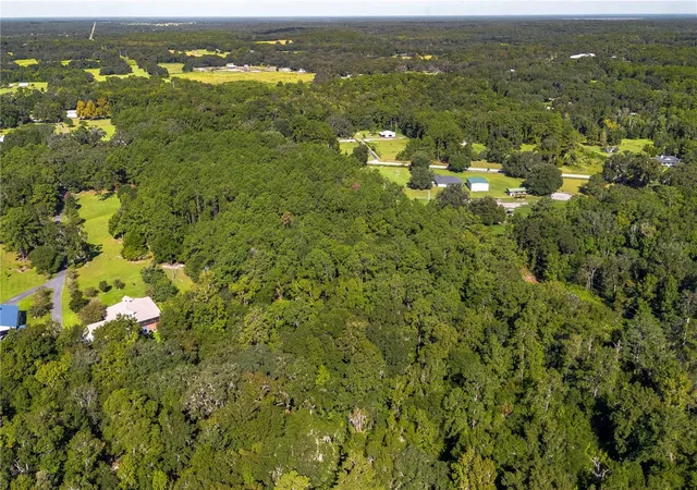 12th image of Tbd Nw 88th Avenue Rd, Reddick, FL 32686 | MLS# OM709028