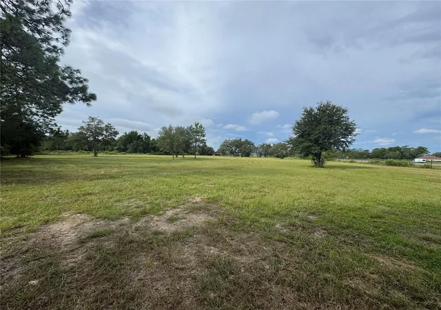 Photo 3 of Land for sale at 17349 Forge Dr, Spring Hill, FL 34610 | MLS# TB8425254 | Listing updated on 2026-08-02