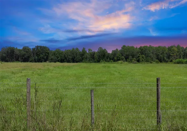 31st image of 460 Old Hwy 17, Crescent City, FL 32112 | MLS# V4944805