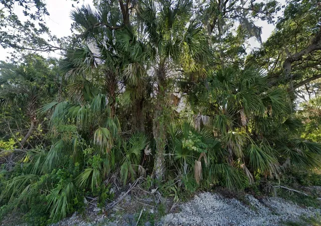 Photo 3 of Land for sale at 4250 Day St, Port Charlotte, FL 33948 | MLS# D6143724 | Listing updated on 2026-09-11