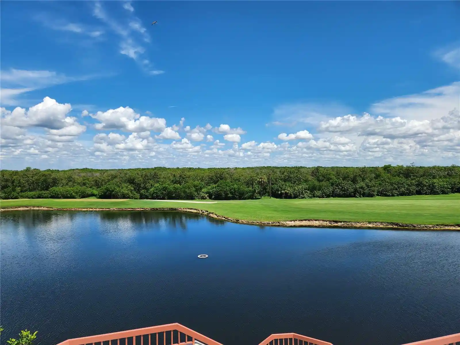 Listing Photo 66 - Condo for sale in 2333 Feather Sound Dr located at 2333 Feather Sound Dr, Clearwater, FL 33762 - Unit #B307